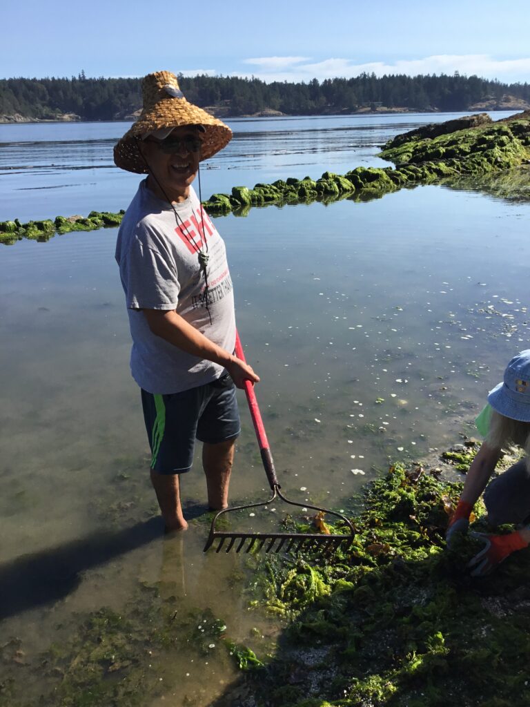 hwiil’asmut tthu tsuw’mun | Caring for our Beaches – Ancient Mariculture Practices
